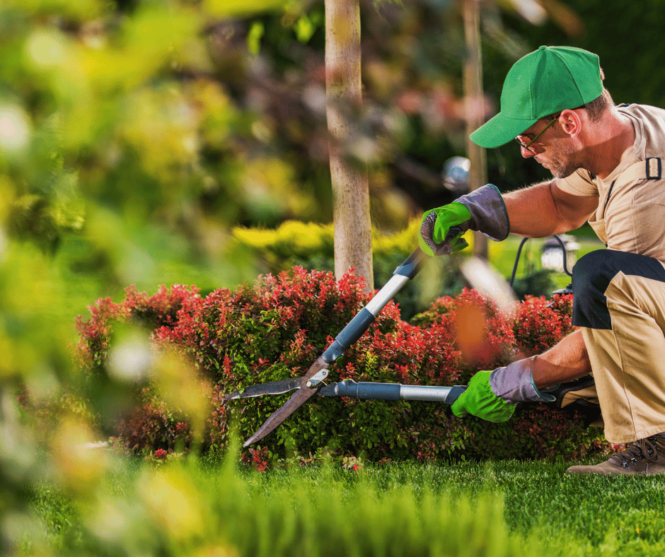 Fast Baytown drought tolerant landscaping upgrades