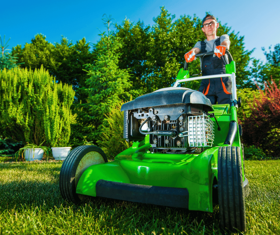 Fast Baytown drought tolerant lawn care services